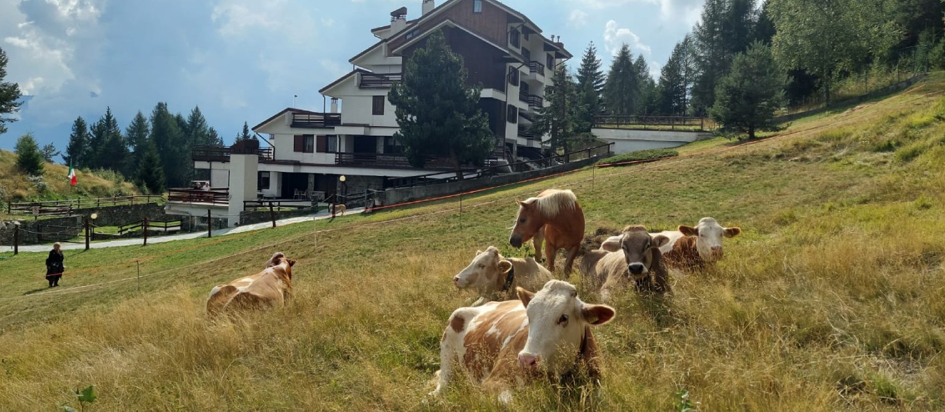 Residence Esterno 11-residence-stefania-teglio